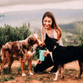 Highwave Dog Travel Water Bottle