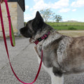 Explorer Leash