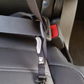 Explorer Leash