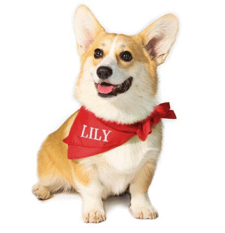 Personalized Red Dog Bandana