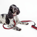 Nylon Buffalo Check Dog Leash