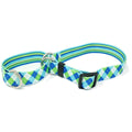 Blue & Green Argyle With Stripes Martingale Collar