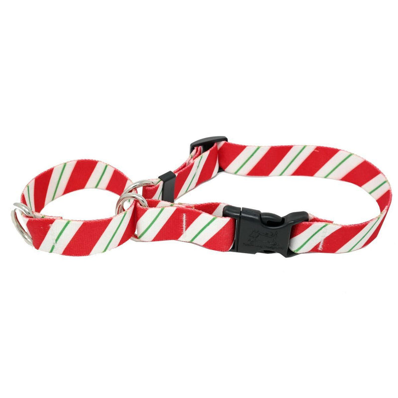 Peppermint Stick Martingale Collar with Clip