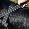 Padded Harness