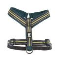 Padded Dog Y-Harness 2
