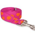 Nylon Polka Dot Dog Leash