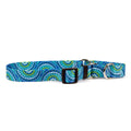 Radiance Blue Martingale Collar