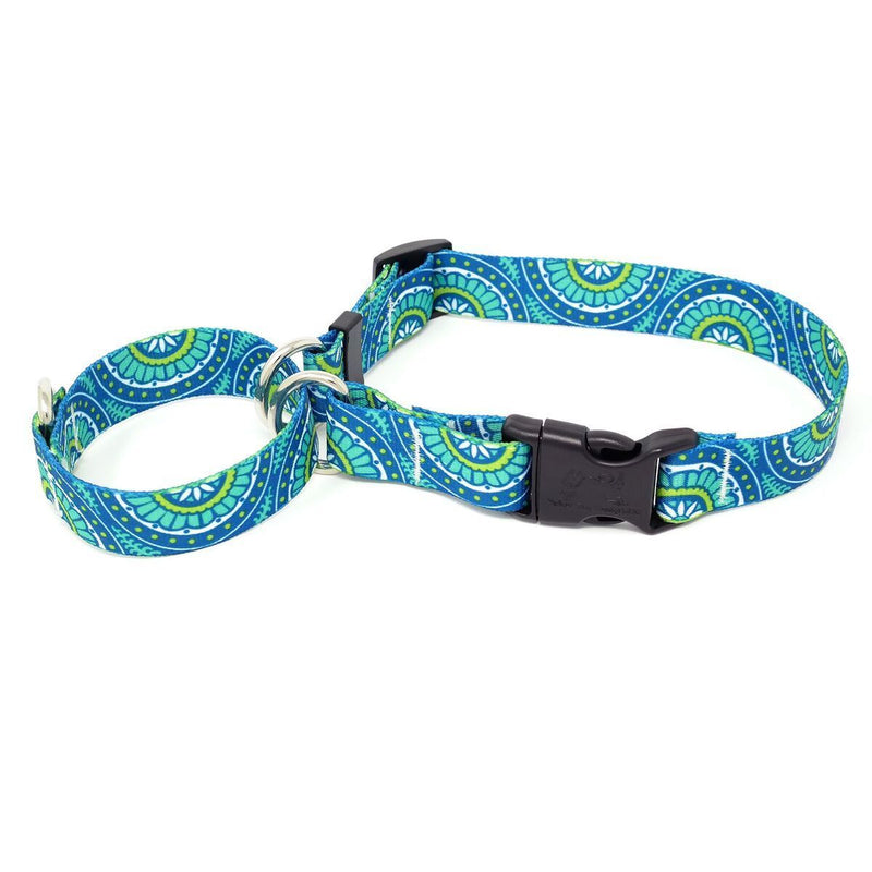 Radiance Blue Martingale Collar With Clip