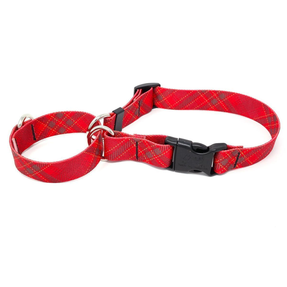 Red Kilt Martingale Collar with Clip