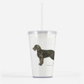 American Water Spaniel Beverage Tumbler