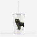 Boykin Spaniel Beverage Tumbler