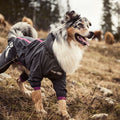 Slush & Mud Protector Dog Overall