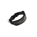 LINK AKC Smart Dog Collar