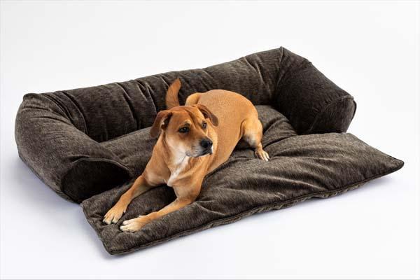 Doggy Day Bed