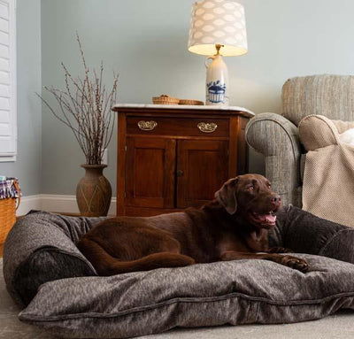 Doggy Day Bed