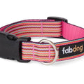 Nylon Mini Stripe Dog Collar