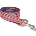Nylon Mini Stripe Dog Leash