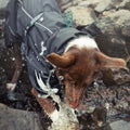 Torrent Dog Raincoat