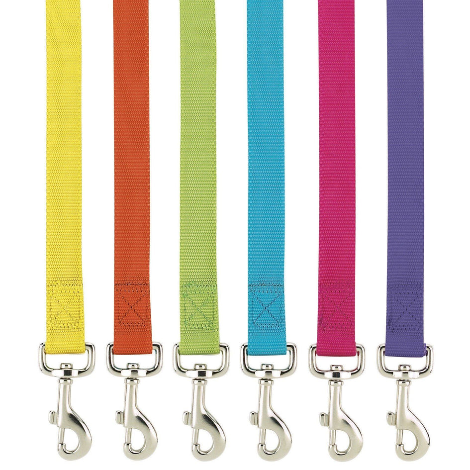 Colorful Nylon Dog Leash