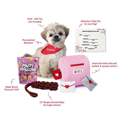 Valentine's Day Gift Box