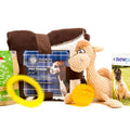 New Puppy Essentials Pack