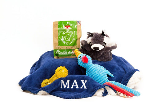 BFF Dog Gift Pack