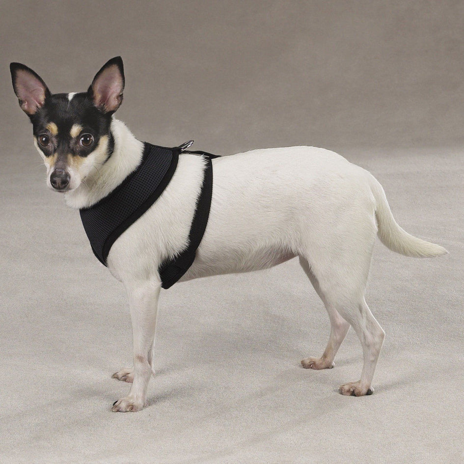 Soft Canine Dog Harness