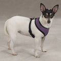 Soft Canine Dog Harness