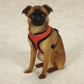 Soft Canine Dog Harness