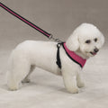 Soft Canine Dog Harness