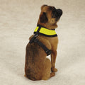Soft Canine Dog Harness