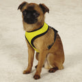 Soft Canine Dog Harness