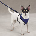 Soft Canine Dog Harness