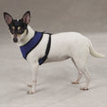 Soft Canine Dog Harness