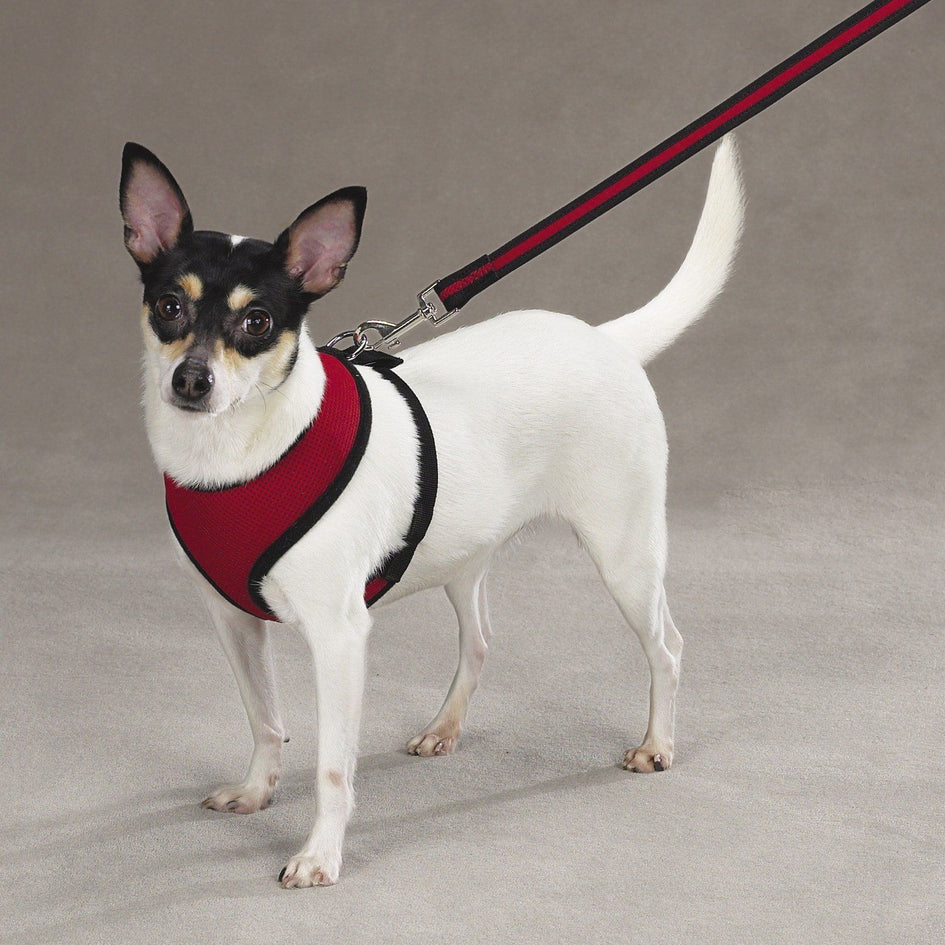 Soft Canine Dog Harness