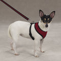 Soft Canine Dog Harness