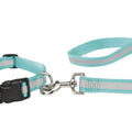 Reflective Collar