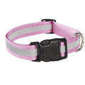 Reflective Collar