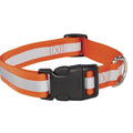 Reflective Collar