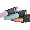 Reflective Collar