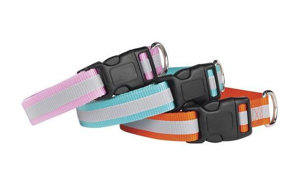 Reflective Dog Collar