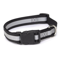 Reflective Collar