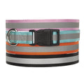 Reflective Collar