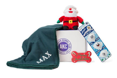 Christmas Gift Pack - "Active Buddy"