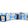 Blue Daisy Martingale Collar