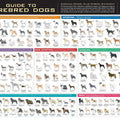 AKC Breed Poster (Flat)