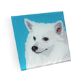 American Eskimo Dog Hand Crafted Glass Dog Coasters