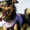 Cooling Vest