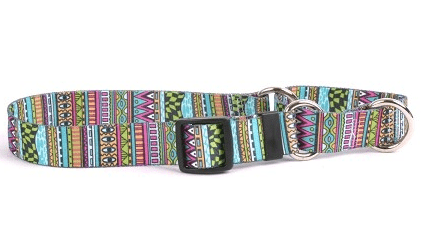 Festival Stripes Martingale Collar