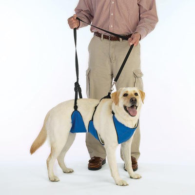 Lift N' Lead Dog Harness